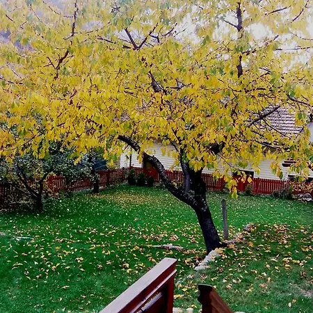 Villa Kirilova House *