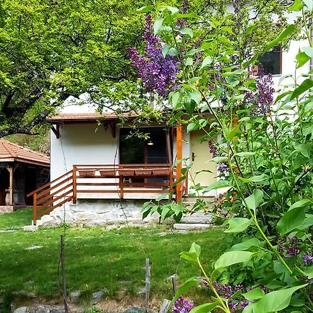 Kirilova House * Pastra