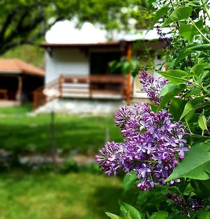 Kirilova House Villa