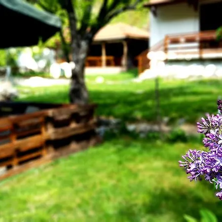 Kirilova House Villa *